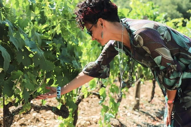 Chianti Wine Tour from Florence - Via Chiantigiana Makes This Day Trip Feel Like Real Tuscany