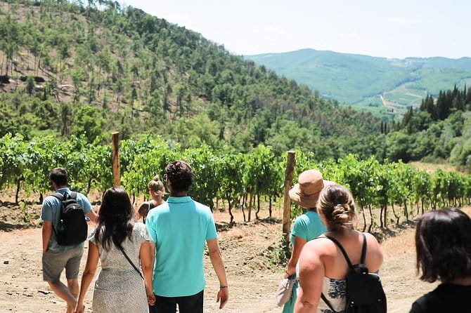 Chianti Wine Tour from Florence - Stop 1: An Organic Chianti Classico Winery With Owner-Led Explanations