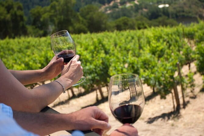 Chianti Wine Tour from Florence - Language, Noise, and Group Flow: What to Expect in English or Spanish