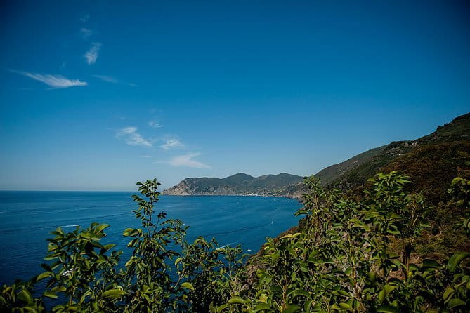 Cinque Terre Day Trip with Optional Hiking or Pisa - Transport Comfort and How Guides Keep You Moving
