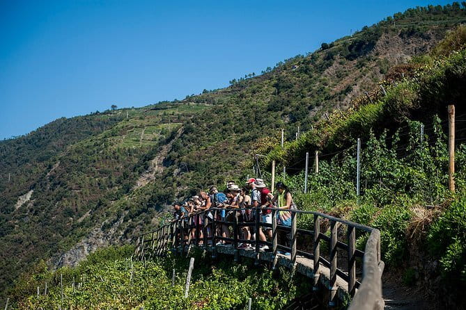 Cinque Terre Day Trip with Optional Hiking or Pisa - The Hike Option: Cliff Paths, 382 Steps, and Zero Handrails
