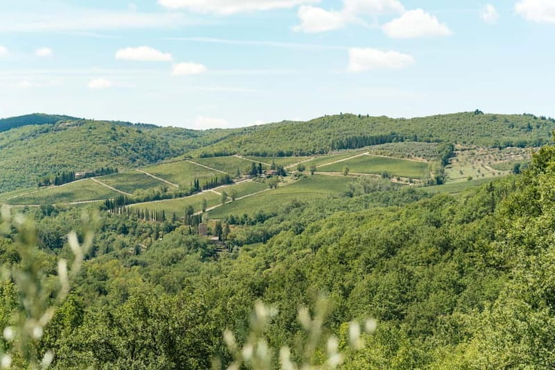 Florence: Chianti Wineries Tour with Wine Tasting - Who Runs It: The Human Part That Makes or Breaks the Day