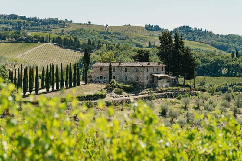 Florence: Chianti Wineries Tour with Wine Tasting - Winery Stop One: Touring the Cantina and Tasting 3–4 Wines