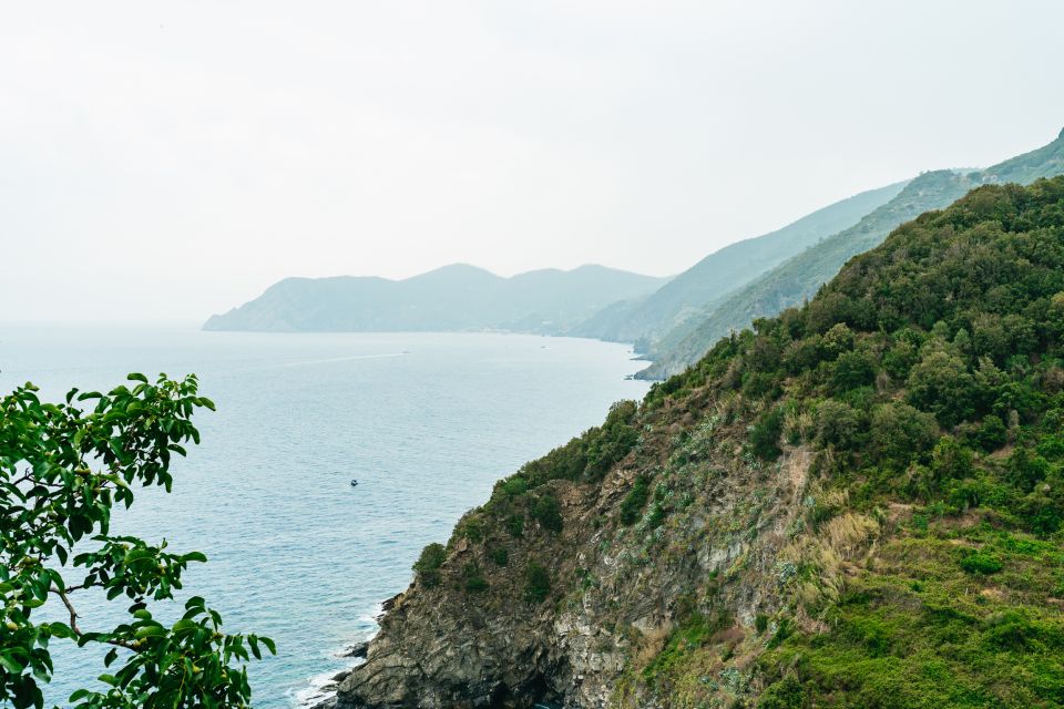 Florence: Cinque Terre Day Trip with Optional Hike - Price and value: what $152.93 is really buying