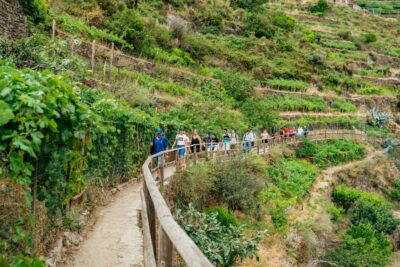 Florence: Cinque Terre Day Trip with Optional Hike - Manarola first: cliffs, color, and a guided walk through the vines