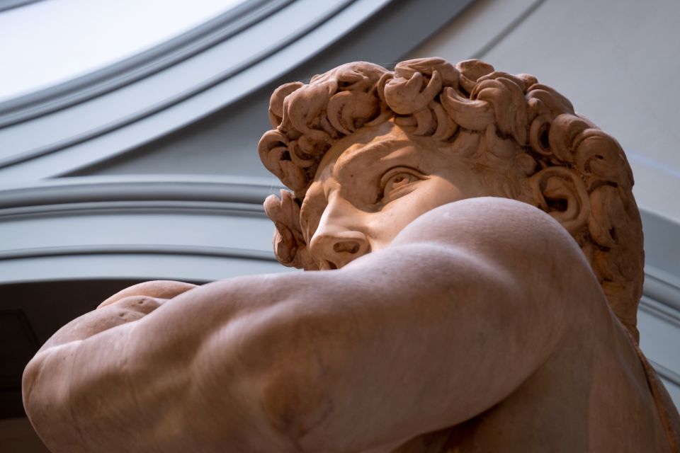 Florence: Michelangelo's David Priority Ticket & Audio App - Renaissance art around David: Botticelli and friends