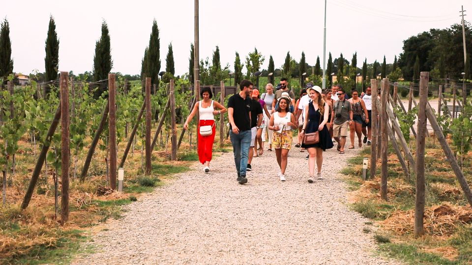 Florence: S. Gimignano, Siena, Chianti & Wine Tasting Lunch - Who this tour suits best