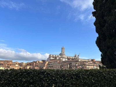 From Florence: San Gimignano, Siena, and Chianti Wine Tour - Siena first: Piazza del Campo, Santa Maria Assunta, and Palio vibes
