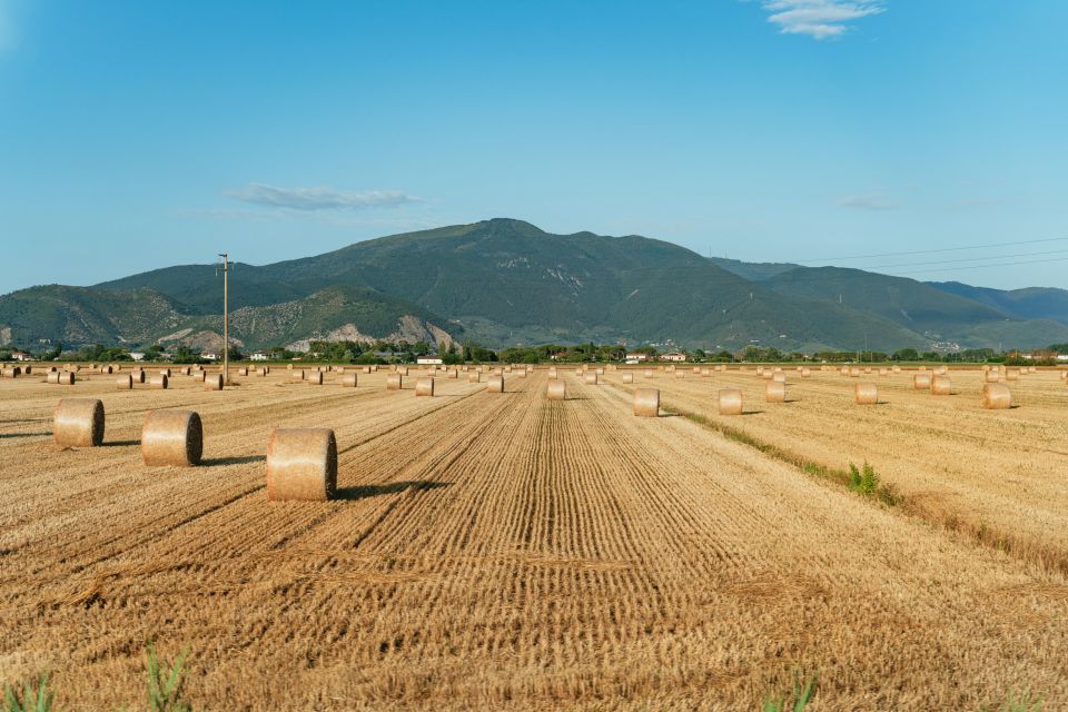 From Florence: Siena, San Gimignano, Pisa & Lunch at Winery - Price and value: what you’re really buying for $112