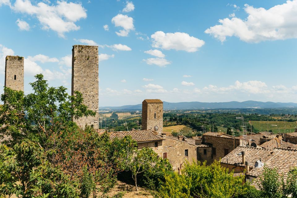 From Florence: Siena, San Gimignano, Pisa & Lunch at Winery - Chianti lunch at a family-run organic winery: why it’s the standout stop