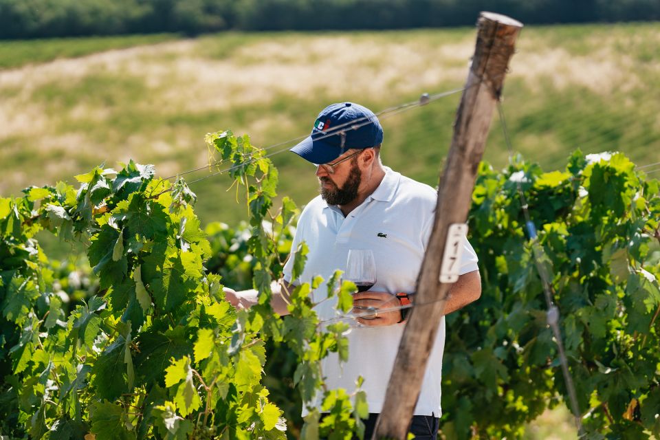 From Florence: Small Group Wine Tasting Tour to Tuscany - Winery Stop Two: Comparing Techniques with Local Antipasto-Style Pairings