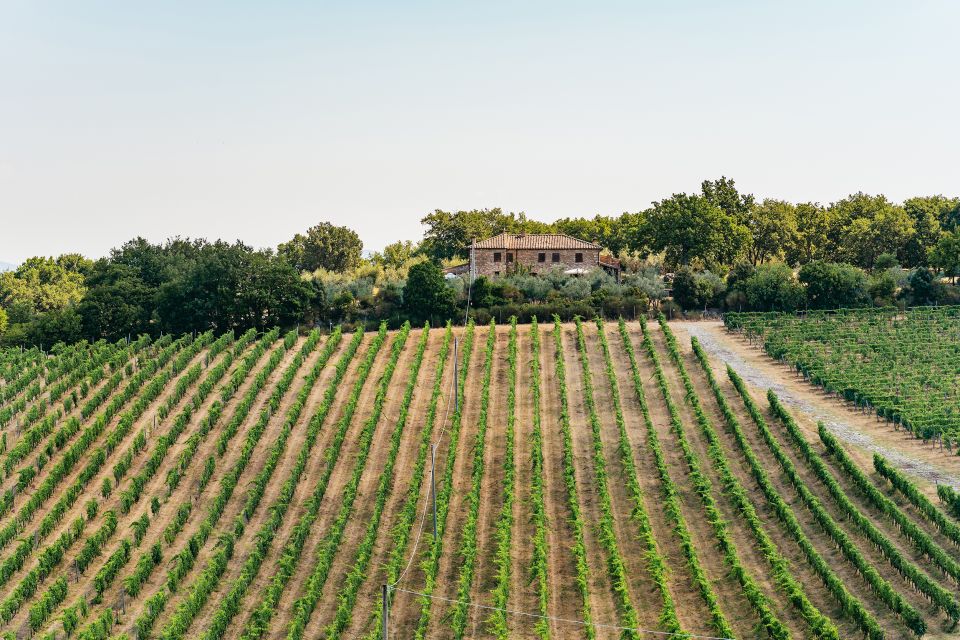 From Florence: Small Group Wine Tasting Tour to Tuscany - Why the Small Group Feel Matters (And Guides Like Jonathan or Leo)