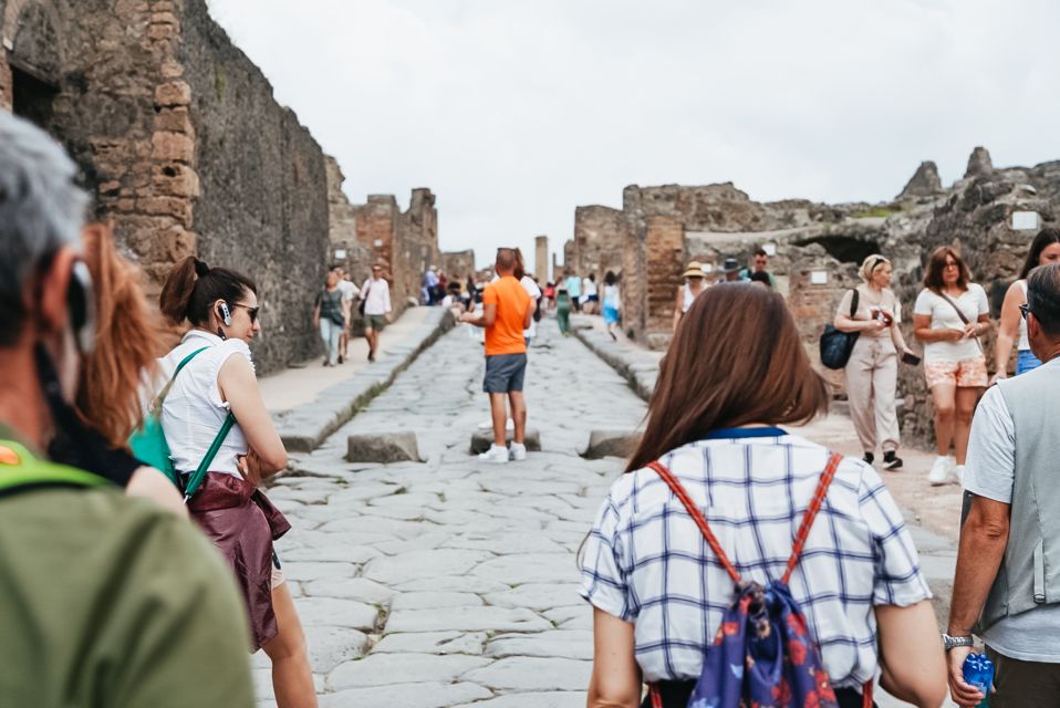 From Naples or Sorrento: Pompei Half-Day Tour - Price and Value: Is €20 Skip-the-Line Ticket Plus a Guide Worth It?