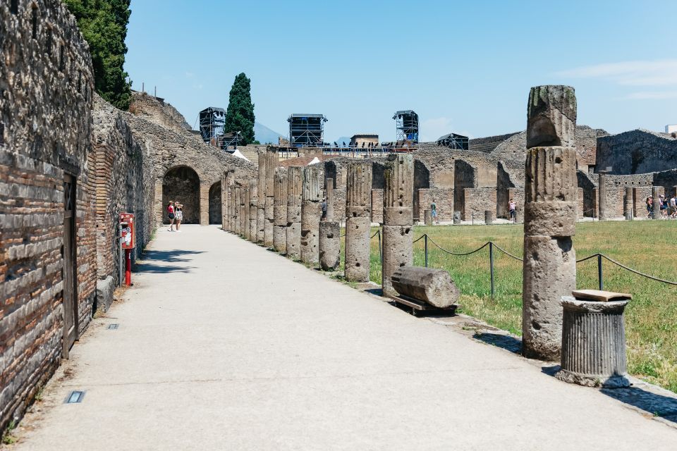 From Naples: Pompeii Ruins & Mount Vesuvius Day Tour - Key highlights worth getting excited about