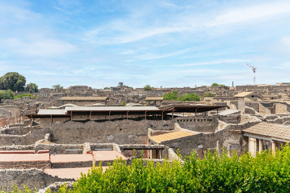 From Naples: Pompeii Ruins & Mount Vesuvius Day Tour - Quick tips to make the day better