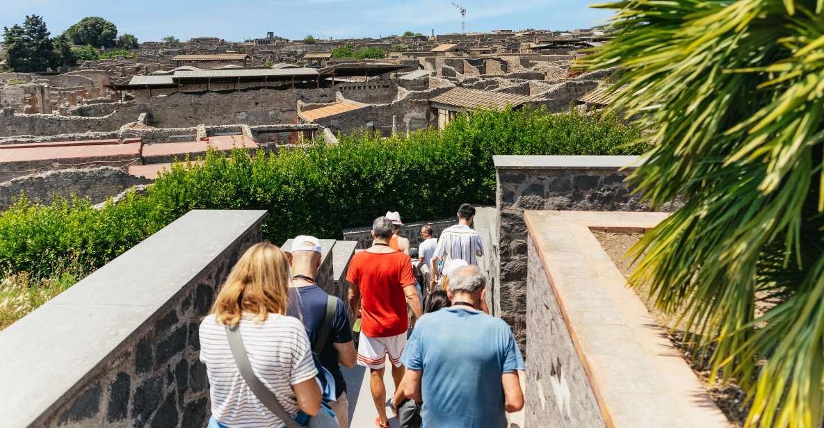 From Naples: Pompeii Ruins & Mount Vesuvius Day Tour - Up Mount Vesuvius: crater views and a walk you should plan for