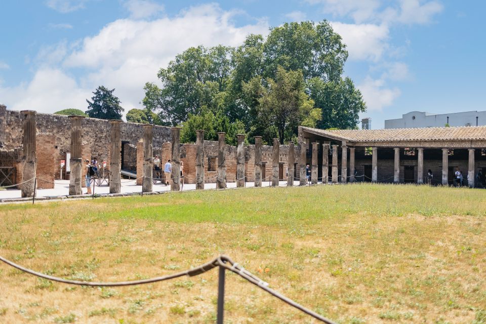 From Naples: Pompeii Ruins & Mount Vesuvius Day Tour - Timing, pacing, and what to do if you want more time