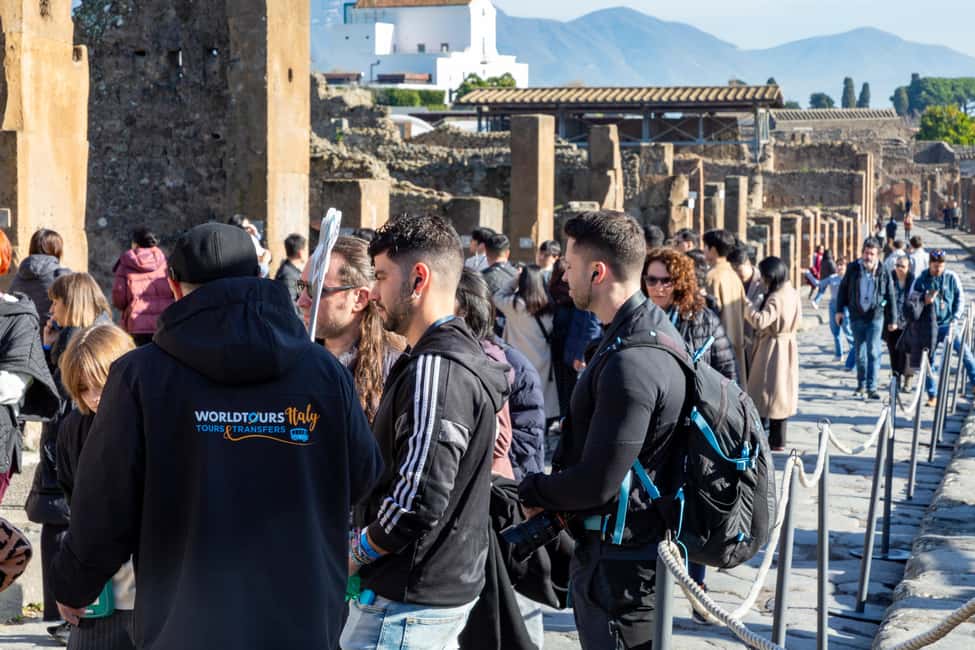 From Naples: Pompeii Skip-the-Line Entry Ticket and Tour - Getting to Pompeii by Air-Conditioned Minibus