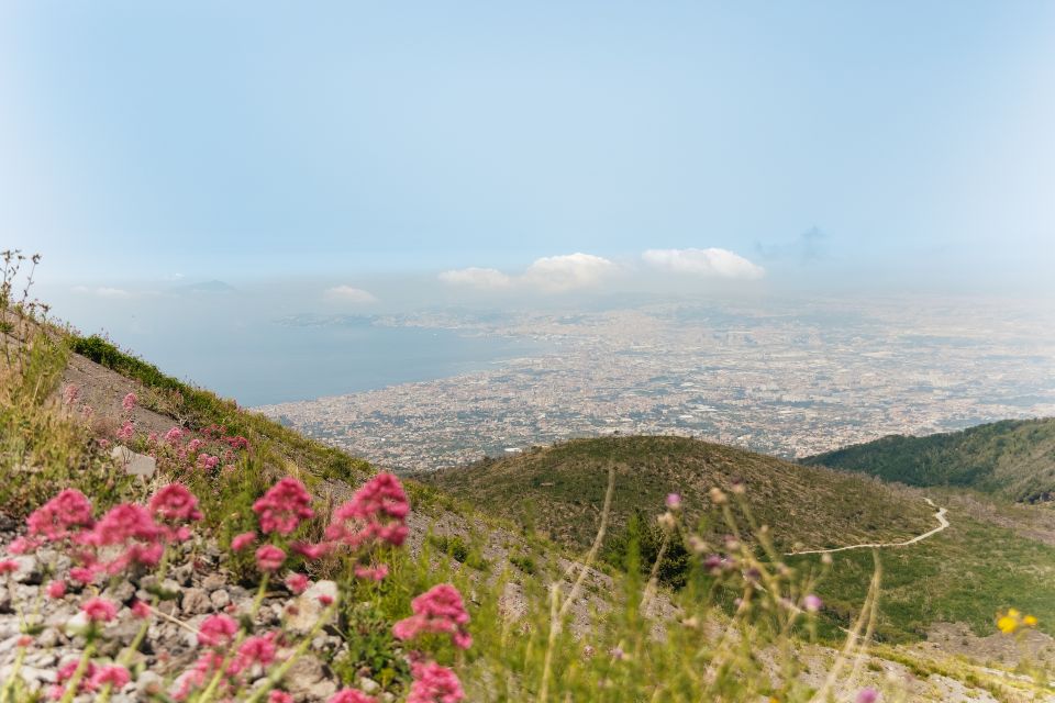 From Rome: Pompeii Day Trip with Optional Vesuvius and Lunch - The Lunch Upgrade: Neapolitan Meal With Bay Views