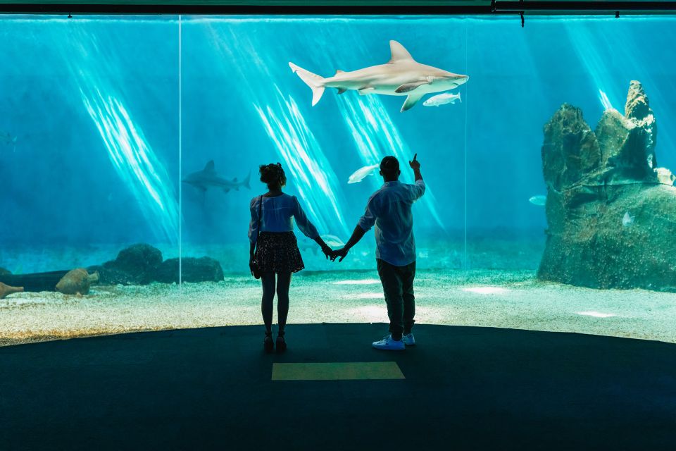 Genoa: Aquarium of Genoa Entry Ticket - The Food Plan: Focaccia Tasting and Lunch Without Detours