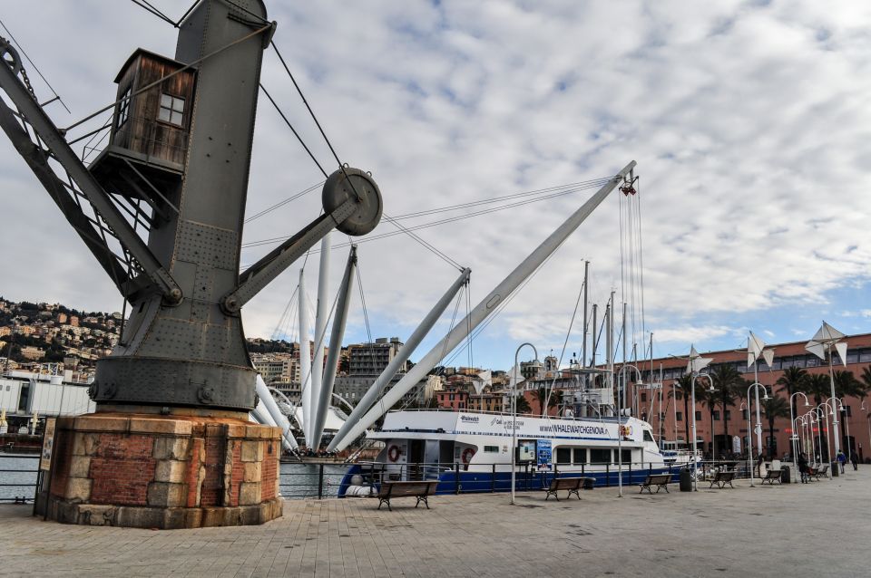 Genoa: Full-Day Tour to Camogli, San Fruttuoso & Portofino - Back to Genoa: Dolphins, Wind, and That Last Long Ferry Feeling