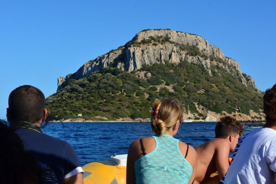 Golfo Aranci: Eco-Friendly Dolphin Watching Boat Trip - Where Figarolo Island Fits Into Golfo Aranci Dolphin Watching