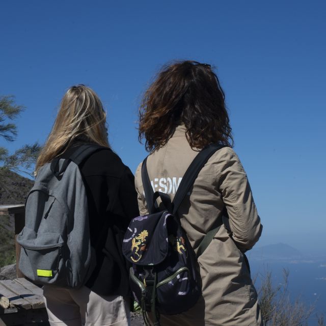 Mount Vesuvius: Skip-the-Line Ticket and Smart Digital Guide - Skip-the-line admission and the time window you must respect