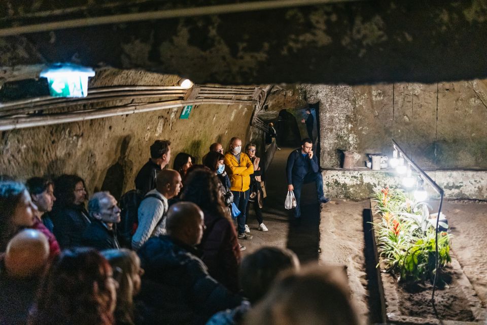 Naples: Naples Underground Entry Ticket and Guided Tour - Pricing and value at about $21 per person