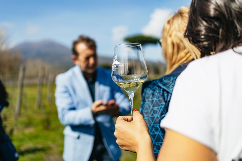 Naples: Pompeii and Mt. Vesuvius with Lunch and Wine Tasting - Getting There Smoothly: Pickup, Transfers, and Getting Ready