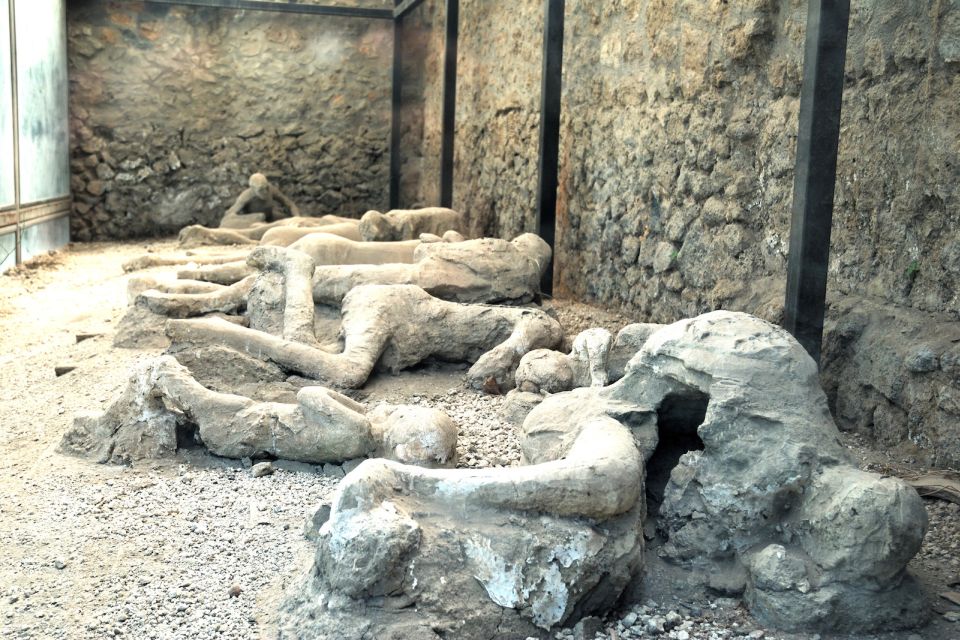Pompeii: Entry Ticket with Optional Audio Guide - Key highlights that make this ticket worth considering