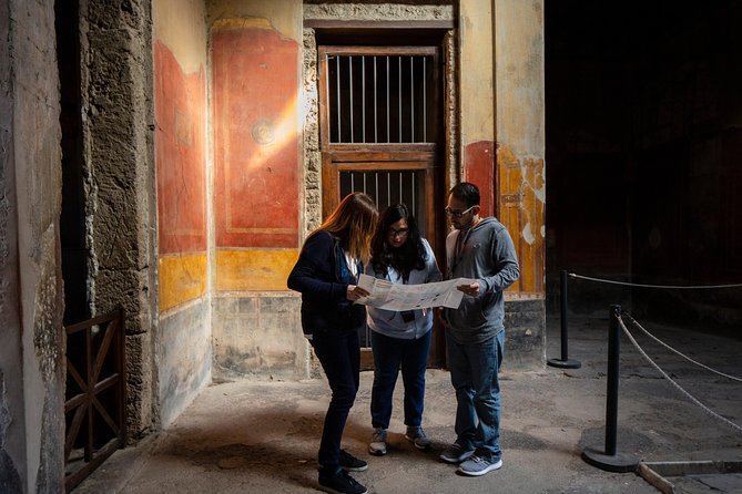 Pompeii & Mt.Vesuvius Day Tour from Naples with Pizza Lunch - Pompeii’s 2-hour highlights walk: what you’ll actually see