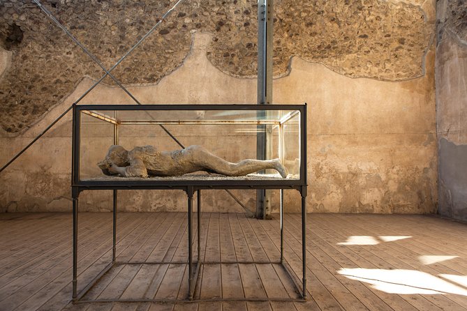 Pompeii & Mt.Vesuvius Day Tour from Naples with Pizza Lunch - Who should book this Pompeii and Vesuvius tour