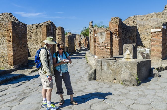Pompeii: Small Group Tour with an Archaeologist - Porta to Forum: the Basilica, public life, and why this part matters