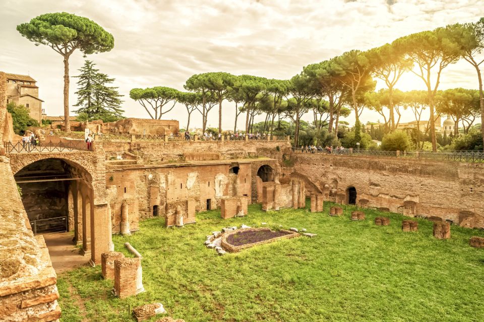 Rome: Colosseum Underground, Arena & Forum Tour - The Colosseum Underground: Engineering, Animals, and the Human Side