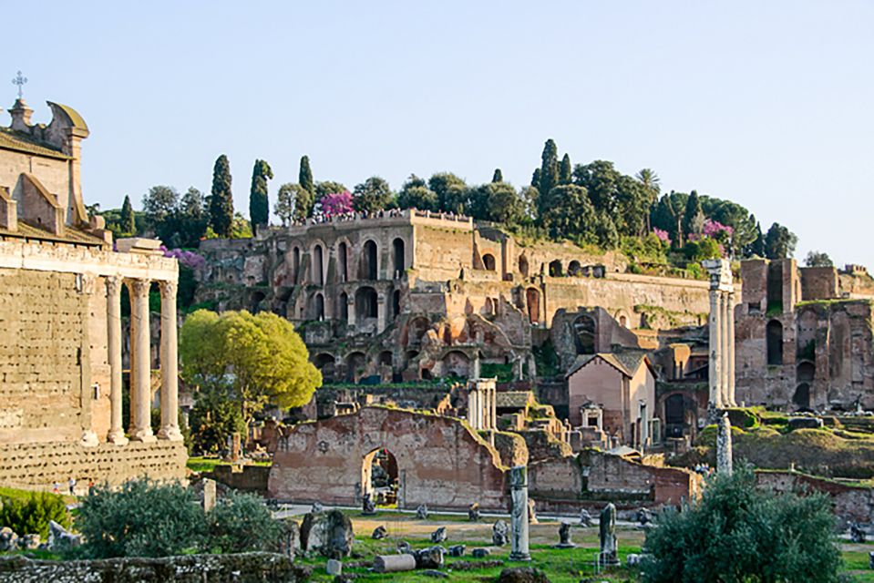 Rome: Guided Tour of Colosseum, Roman Forum & Palatine Hill - Inside the Colosseum: Gladiators, Emperors, and What the Ruins Mean