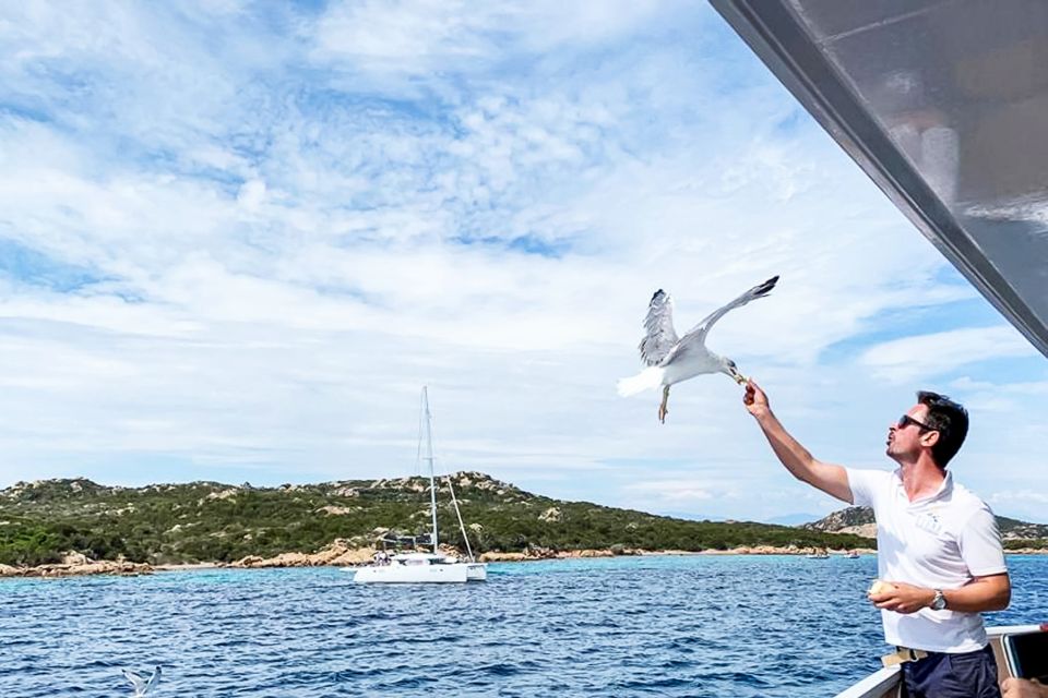 Sardinia: La Maddalena Archipelago Full-Day Trip by Boat - Food aboard: Sardinian flavors, buy-on-board flexibility, and value math