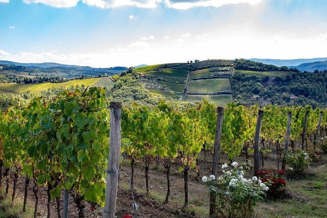 SMALL-GROUP Wine Safaris: Tuscan Wine Tasting Tours from Florence - Key points worth knowing before you go