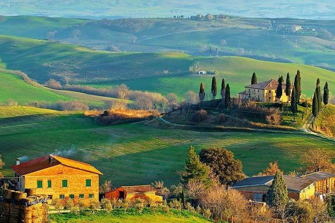 Small-Group Wine Tasting Experience in the Tuscan Countryside - Key highlights you’ll feel on the day