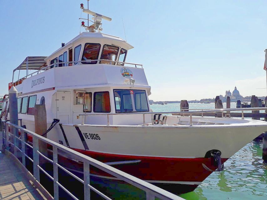 Venice: Murano & Burano Panoramic Boat Tour w/ Glassblowing - Key highlights to know before you go
